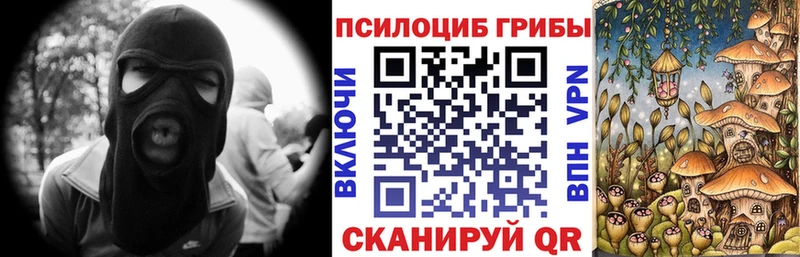 Галлюциногенные грибы мицелий Мосальск